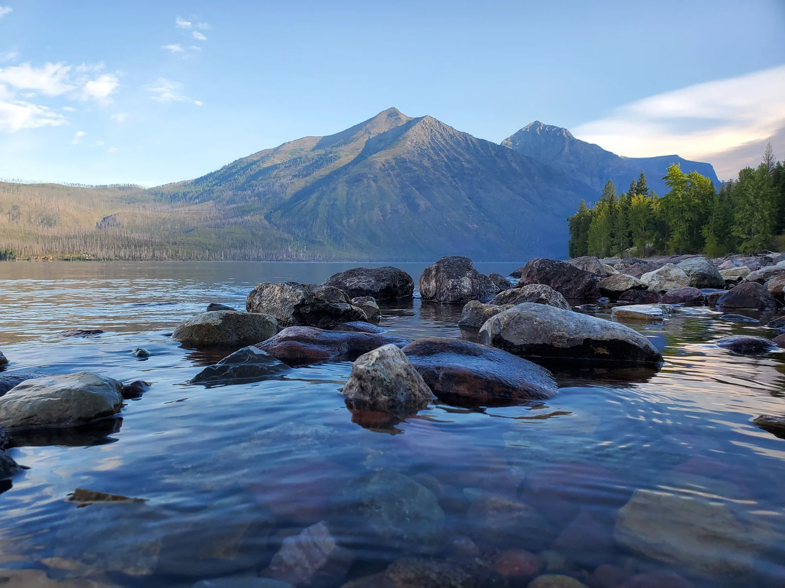 Montana