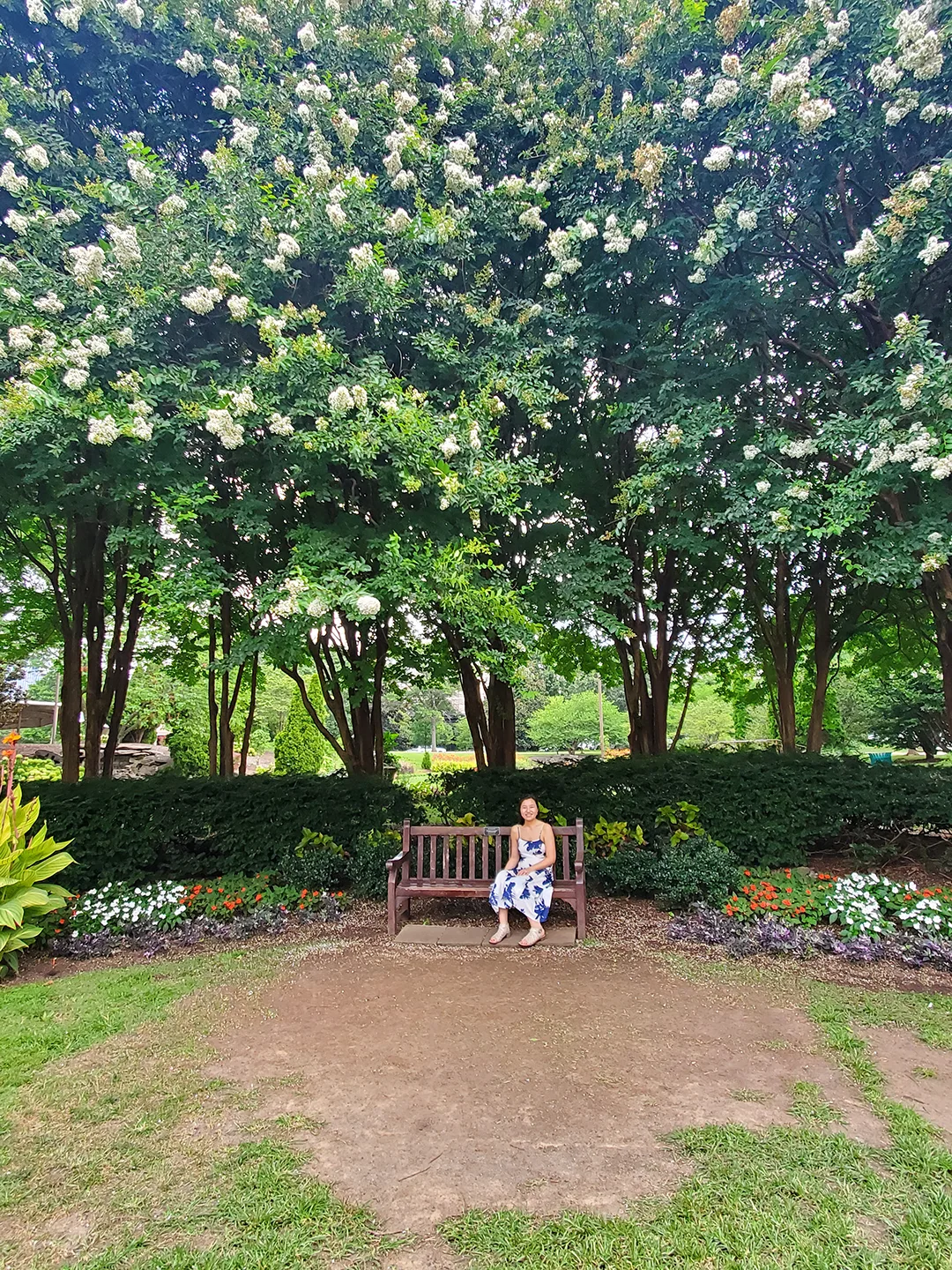 taylor swift bench