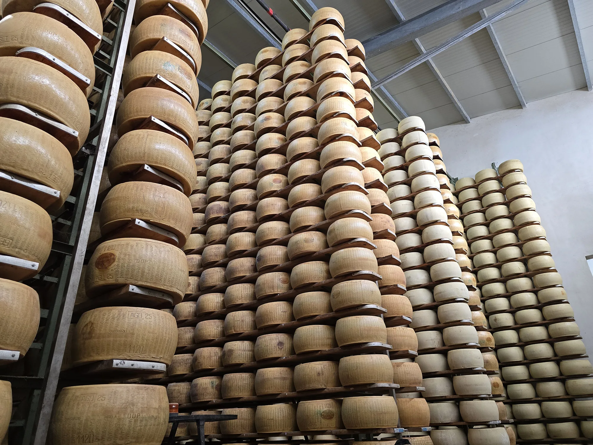 Bologna Food Valley Tour