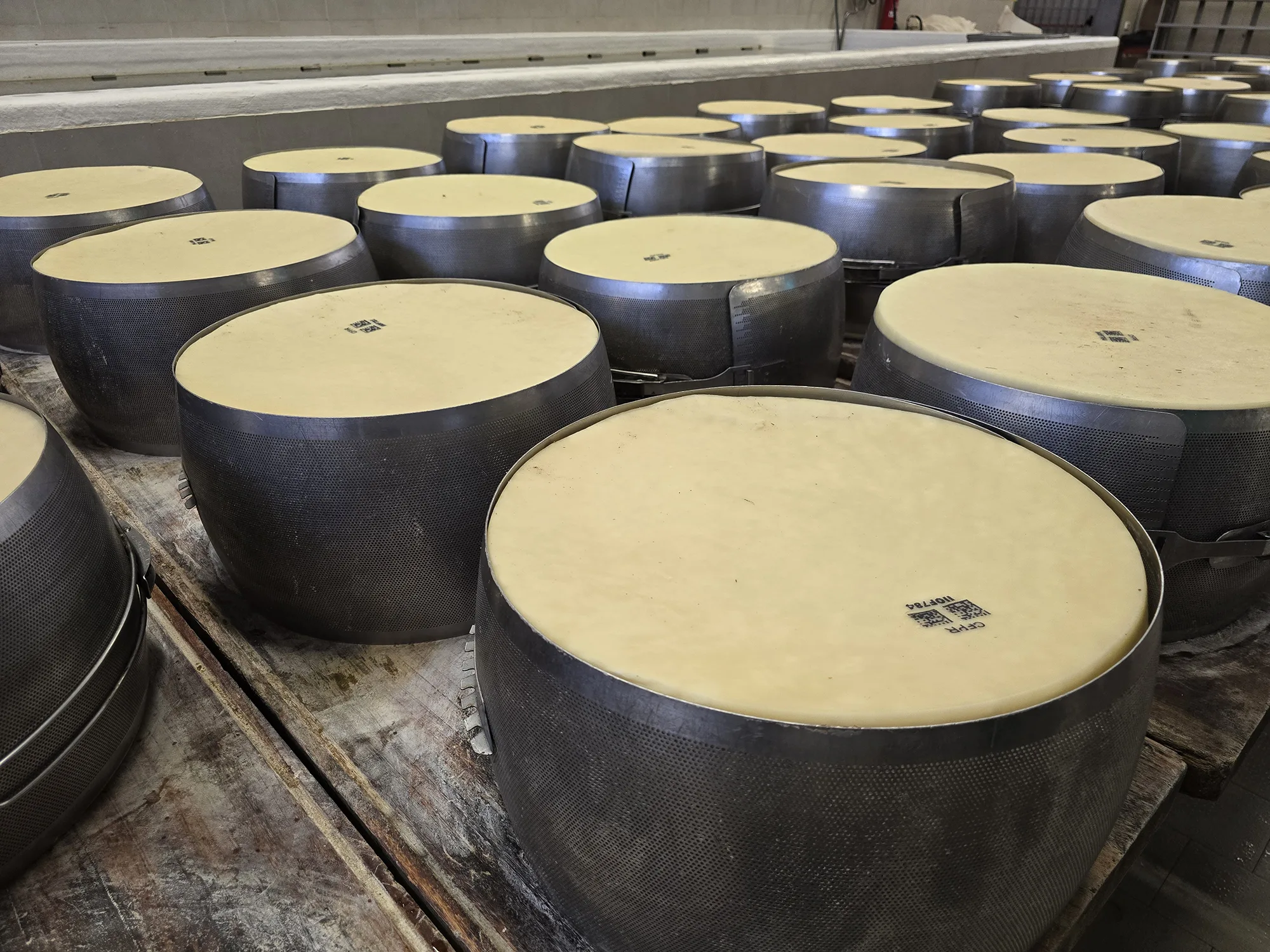cheese wheels