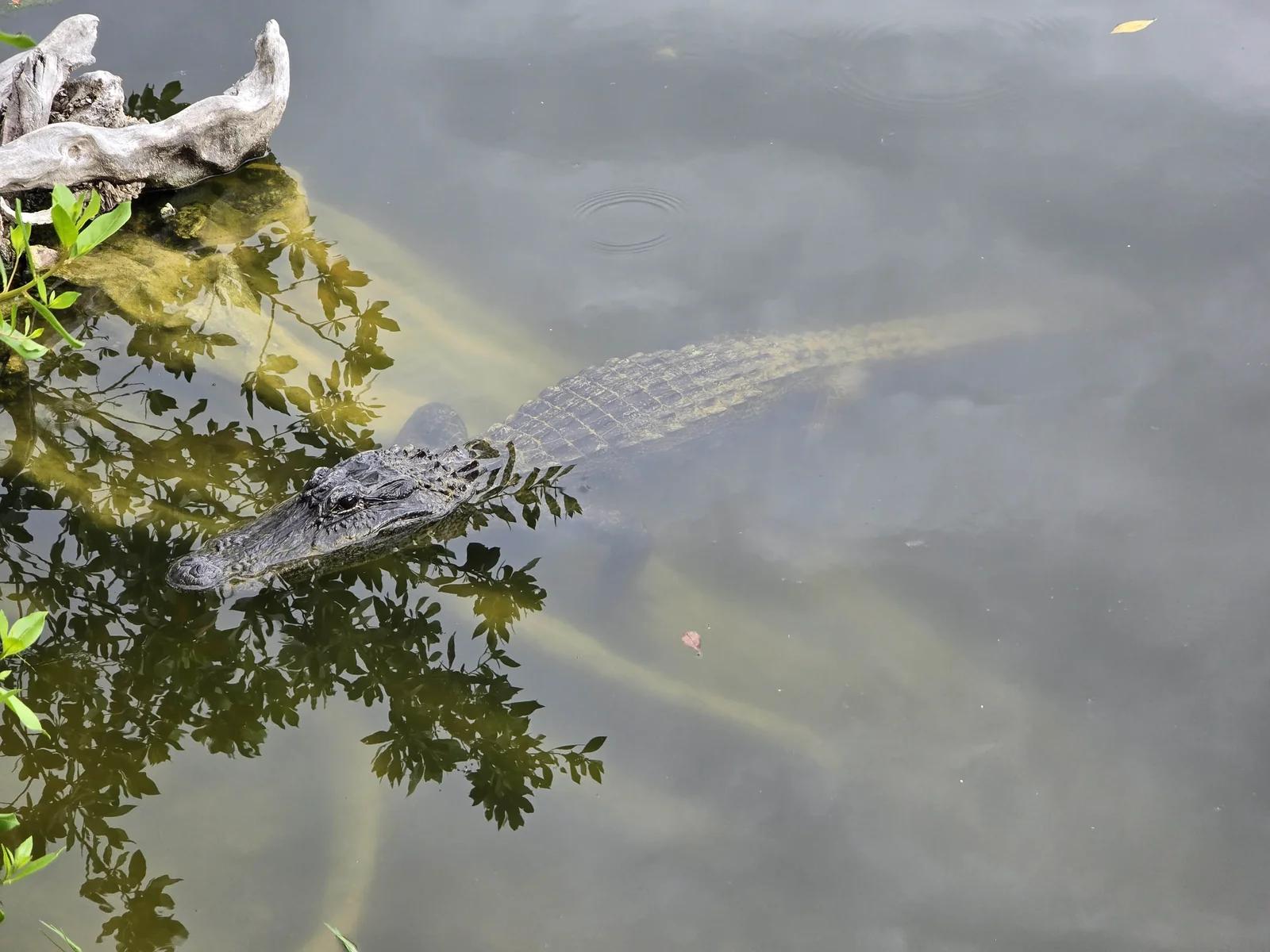 Florida National Parks