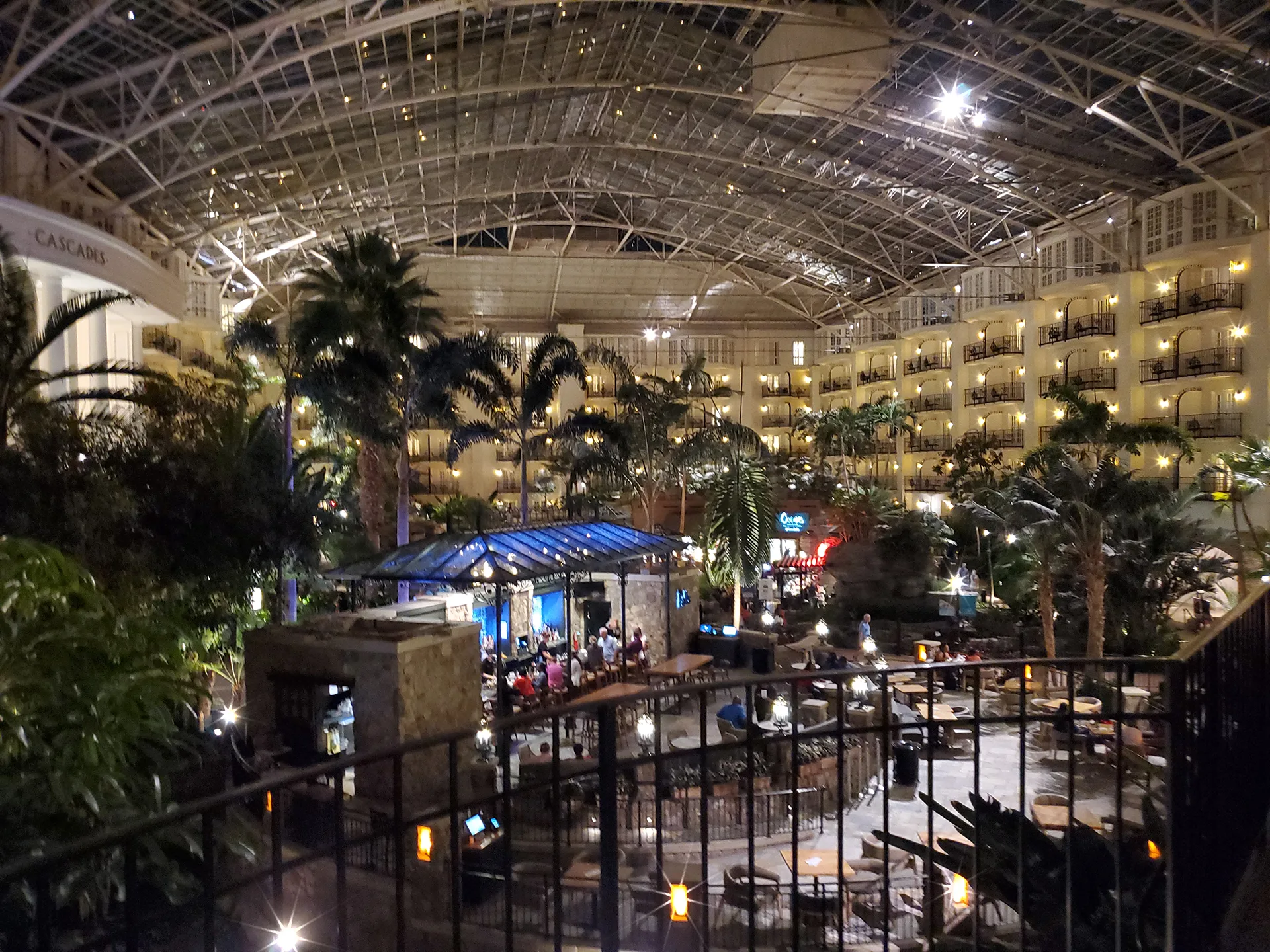 gaylord opryland atrium at night