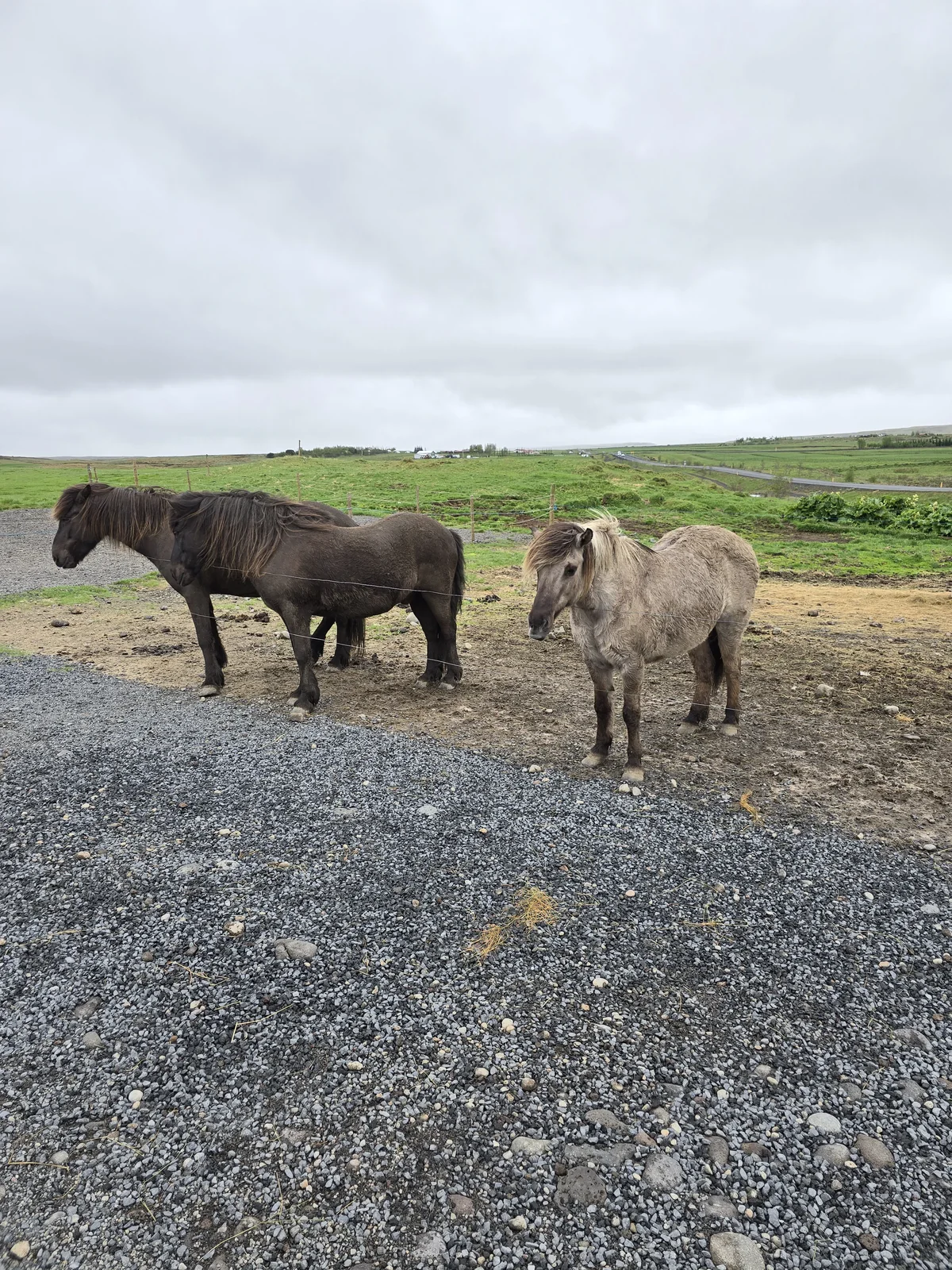 Bru Horse Farm