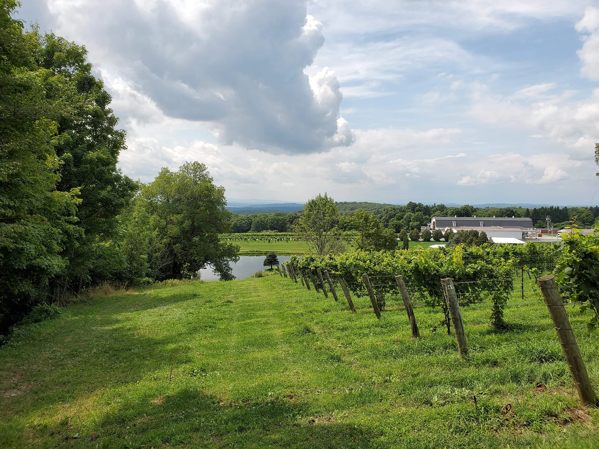 Millbrook Vineyards & Winery