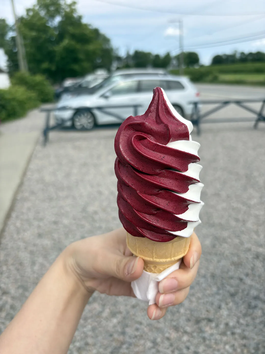 cassis and vanilla soft serve ice cream