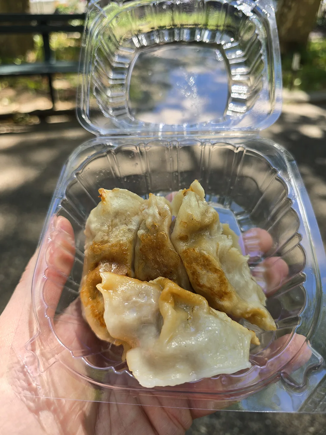 handmade dumplings