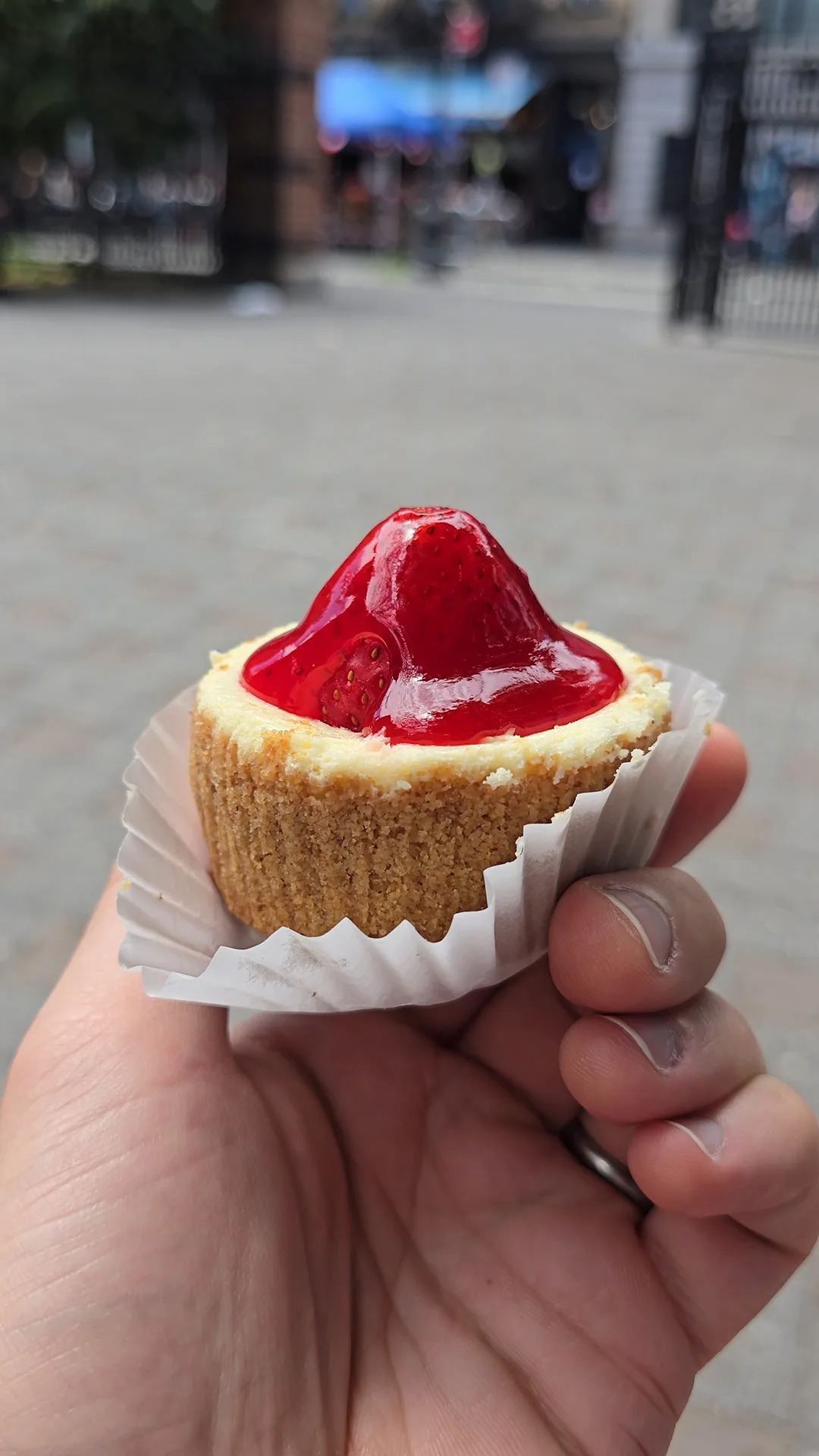 new york cheesecake