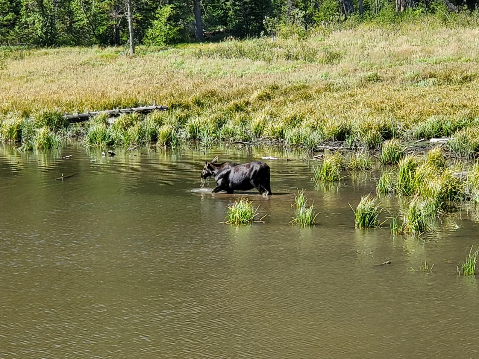 Grand Teton National Park
