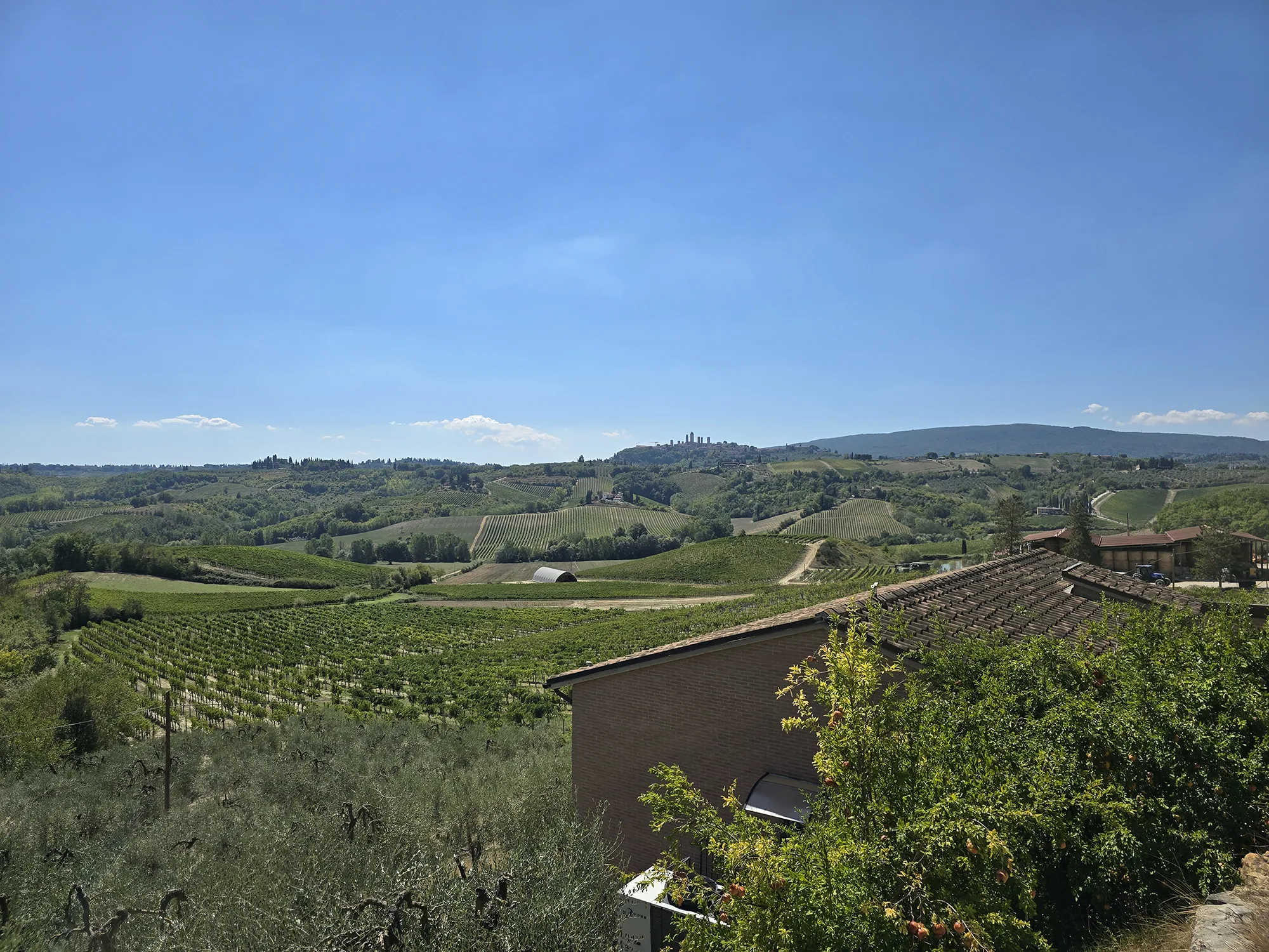 Tuscany Day Trip From Florence