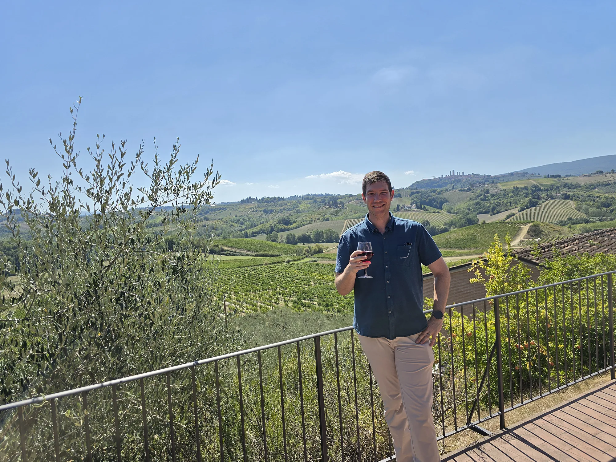 Fattoria Poggio Alloro Vineyard