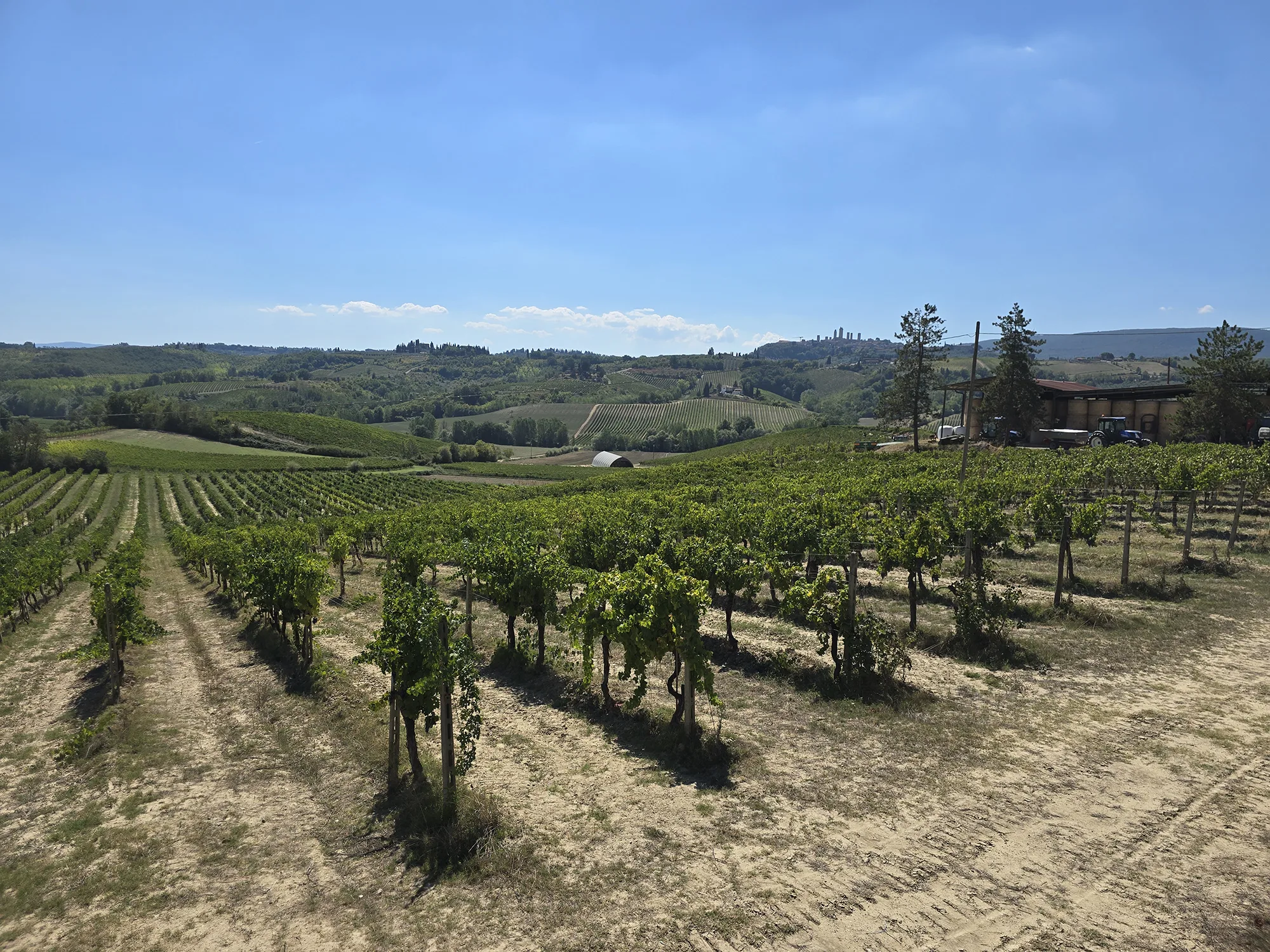 Fattoria Poggio Alloro Winery